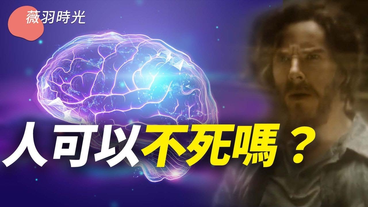 私密：[ID: -QhVVlAt2nc] Youtube Automatic