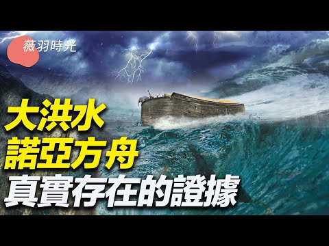 私密：[ID: 5VqhhKn3Hrc] Youtube Automatic