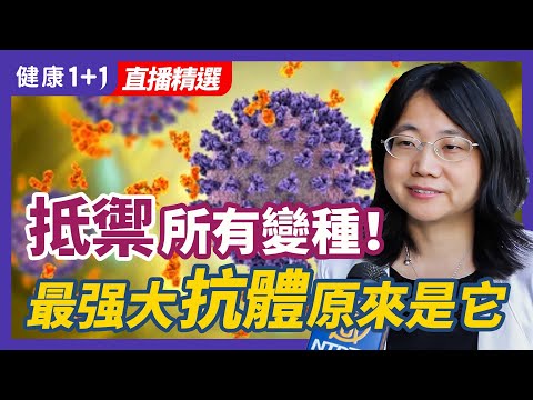 私密：[ID: xE4O-cvzFSE] Youtube Automatic