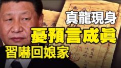 [ID: FjFF-XU6MYU] Youtube Automatic