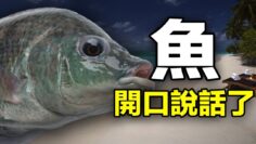 [ID: lIrUnuPWsEA] Youtube Automatic