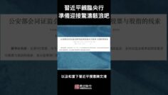 [ID: B5abfHErDS0] Youtube Automatic