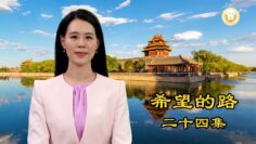 [ID: jIQe0IgzM1U] Youtube Automatic