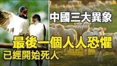 [ID: KtGtoUQhlWE] Youtube Automatic