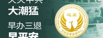 [ID: opMKbounujc] Youtube Automatic