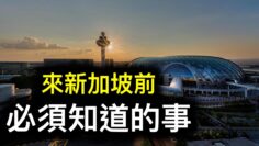 [ID: D-TwuvtiCa4] Youtube Automatic