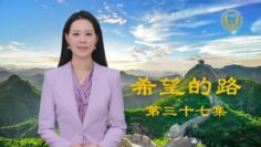 [ID: 43Kjj9v7lxo] Youtube Automatic