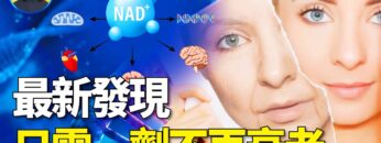 [ID: YuiWfFHXiUY] Youtube Automatic