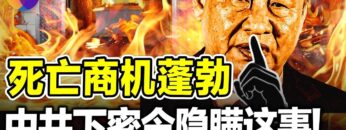 [ID: HgLlrOdrnCo] Youtube Automatic