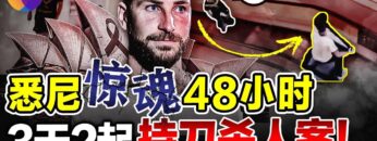 [ID: hy_8xcEamzc] Youtube Automatic