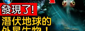 [ID: OWXflcEjO48] Youtube Automatic