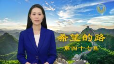 [ID: Xj_FErt31Cc] Youtube Automatic