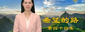 [ID: XKqiZQmNLpY] Youtube Automatic