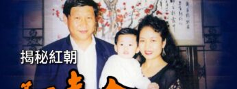 [ID: mxnew52Xy18] Youtube Automatic