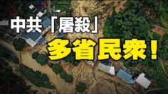 [ID: MvebXe2JsxI] Youtube Automatic