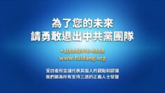 [ID: -vcDkxJVQmI] Youtube Automatic