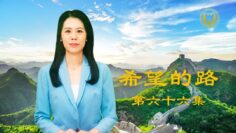 [ID: YXOmjA4g2sk] Youtube Automatic