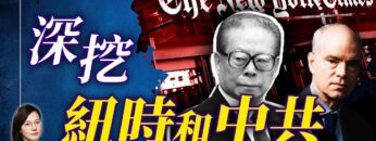 [ID: vqrSfAnvDL0] Youtube Automatic