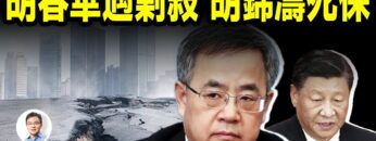 [ID: 2O2PjPu1r-4] Youtube Automatic