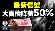 私密：[ID: Mb_4yW7hGzk] Youtube Automatic