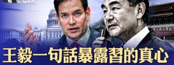 [ID: vNHvJ8ymZPs] Youtube Automatic