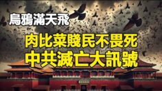 [ID: Y1pCq6P0_QI] Youtube Automatic