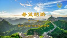 [ID: GGp_bSh_YOo] Youtube Automatic