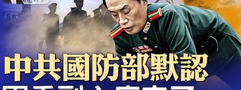 [ID: IRKFn-WD-GM] Youtube Automatic