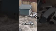 [ID: CnyotXYVx8o] Youtube Automatic