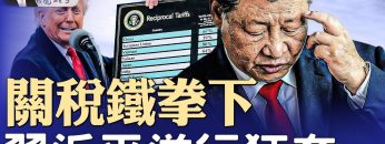 私密：[ID: FAuz4Iw56aU] Youtube Automatic