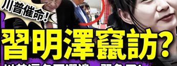 [ID: PNwssLMTtxg] Youtube Automatic