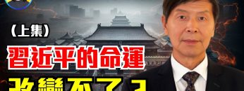 [ID: Clk_wla-xjE] Youtube Automatic