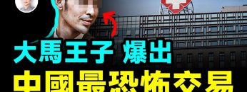 [ID: D6IfD3ubPPM] Youtube Automatic