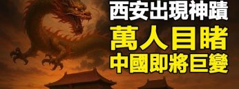 [ID: MsQrfYkWwLM] Youtube Automatic