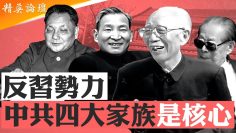 [ID: 1WY9jaJc5og] Youtube Automatic