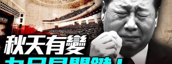 [ID: gzcftAtirsQ] Youtube Automatic