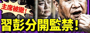 [ID: IZSOW1onmPI] Youtube Automatic