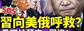 [ID: tgxGuoB-nlA] Youtube Automatic