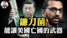 私密：[ID: vwAuL_dr14w] Youtube Automatic