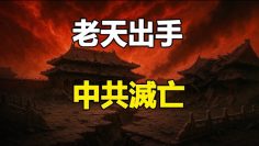 [ID: WPKX8Zsnv8E] Youtube Automatic