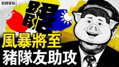 [ID: 2Eq3LVq8vz8] Youtube Automatic