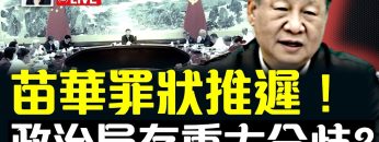 私密：[ID: Bw2T1sG6ubQ] Youtube Automatic