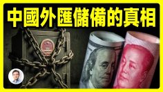 私密：[ID: wItKpNkthbI] Youtube Automatic