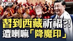 [ID: 8RYdJHtj1vk] Youtube Automatic