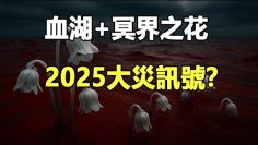 [ID: AxFshETepS0] Youtube Automatic