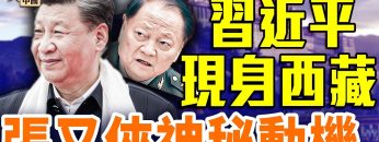 [ID: CPpqYQG5Htc] Youtube Automatic