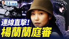 私密：[ID: D4hf9zY7cmg] Youtube Automatic