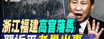 [ID: kng-wANXiqk] Youtube Automatic