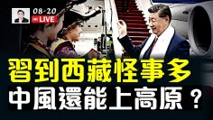 私密：[ID: MTaNlHnUA7o] Youtube Automatic