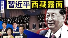 [ID: -snmRaBZVks] Youtube Automatic